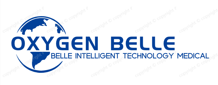 Guangzhou Belle Intelligent Technology Co.,Ltd